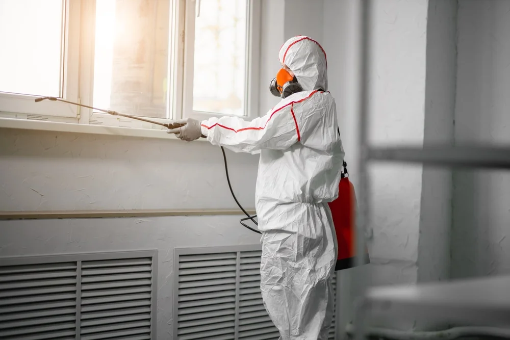 Professional mold remediation services in Nottingham, NH